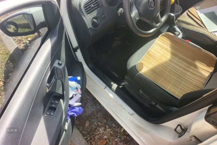 Volkswagen Polo 2019 car image #18
