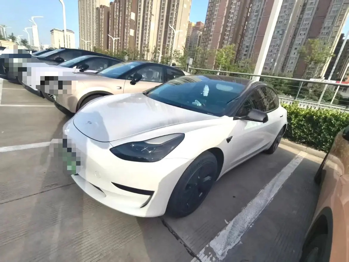 Tesla Model 3 2021 Tesla Model 3 2021 car image