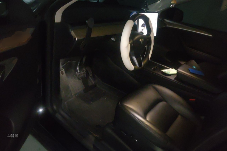 Tesla Model Y 2023 car image #18