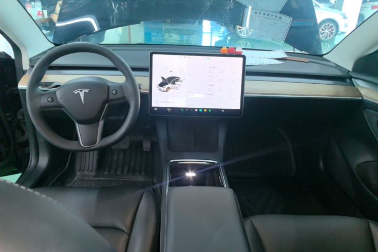 Tesla Model 3 2023 imagem de carro #10