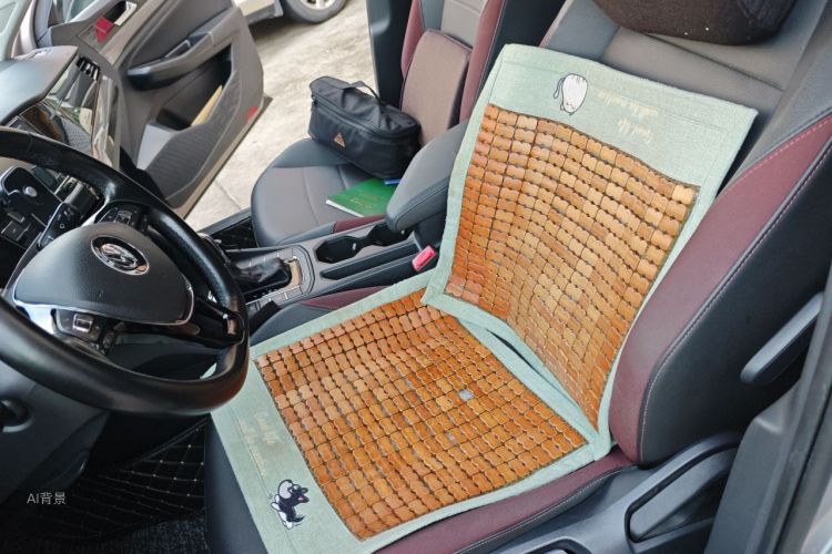 Volkswagen Bora 2019 immagine di auto #17