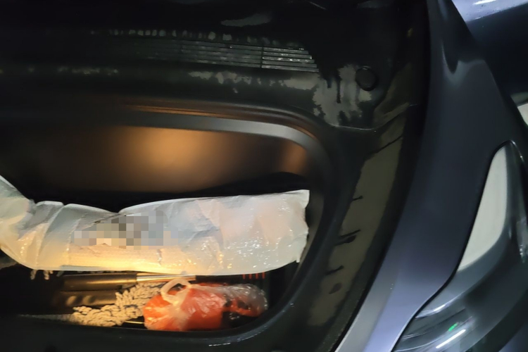 Tesla Model Y 2023 #29 Tesla Model Y 2023 car image #29