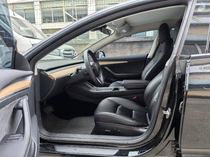 Tesla Model 3 2021 #3 Tesla Model 3 2021 car image #3