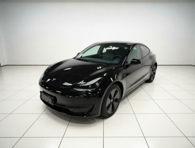 Tesla Model 3 2021 Tesla Model 3 2021 car image