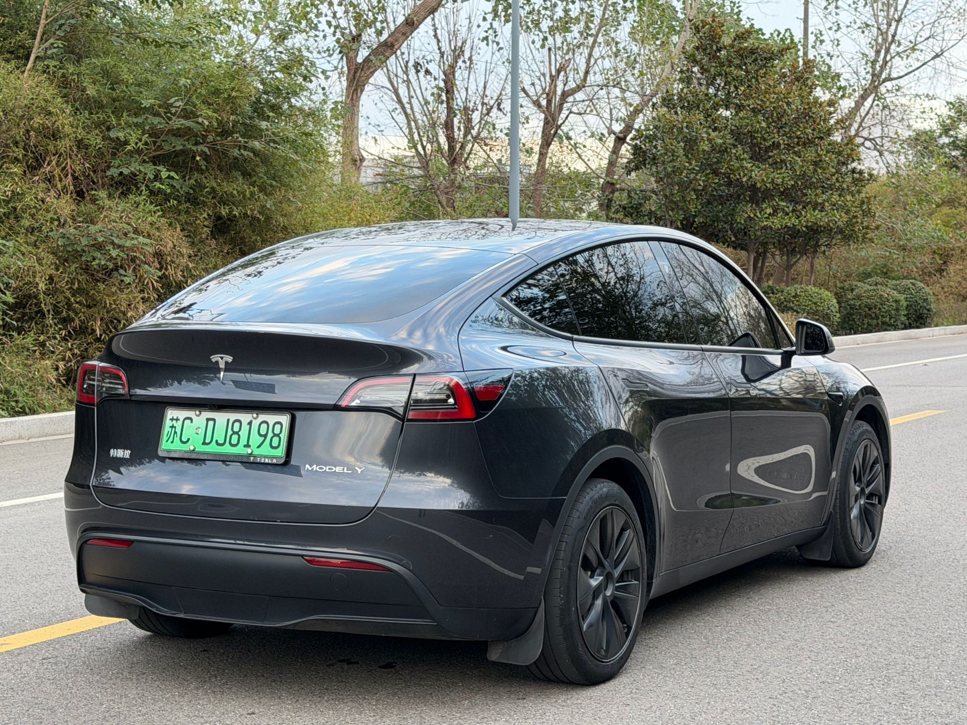 Tesla Model Y 2024 car image #7