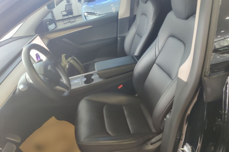 Tesla Model Y 2021 car image #15