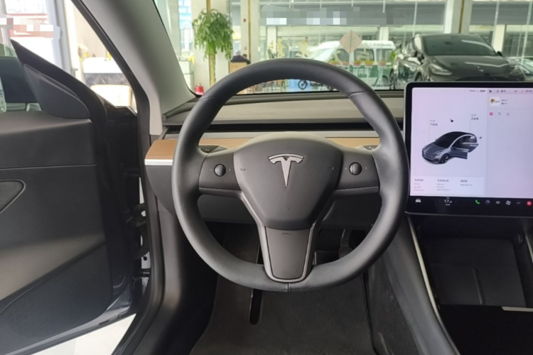 Tesla Model 3 2020 #11 Tesla Model 3 2020 car image #11