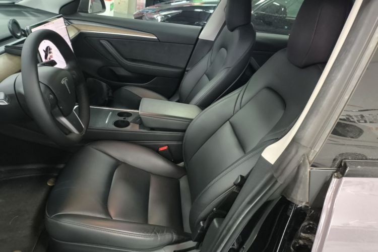 Tesla Model 3 2021 car image #19