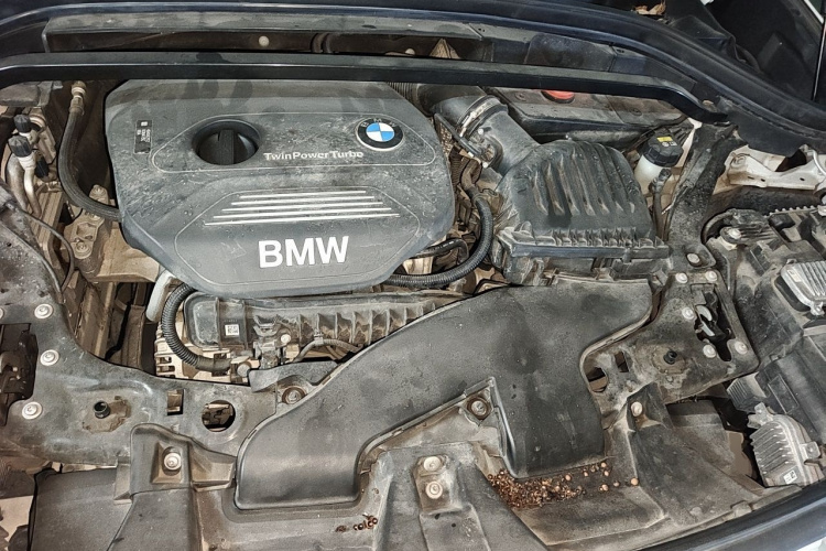 BMW X1 2017 #18 BMW X1 2017 car image #18