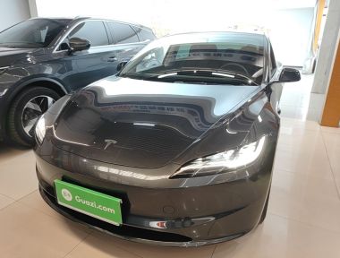 Tesla Model 3 2024 Tesla Model 3 2024 car image