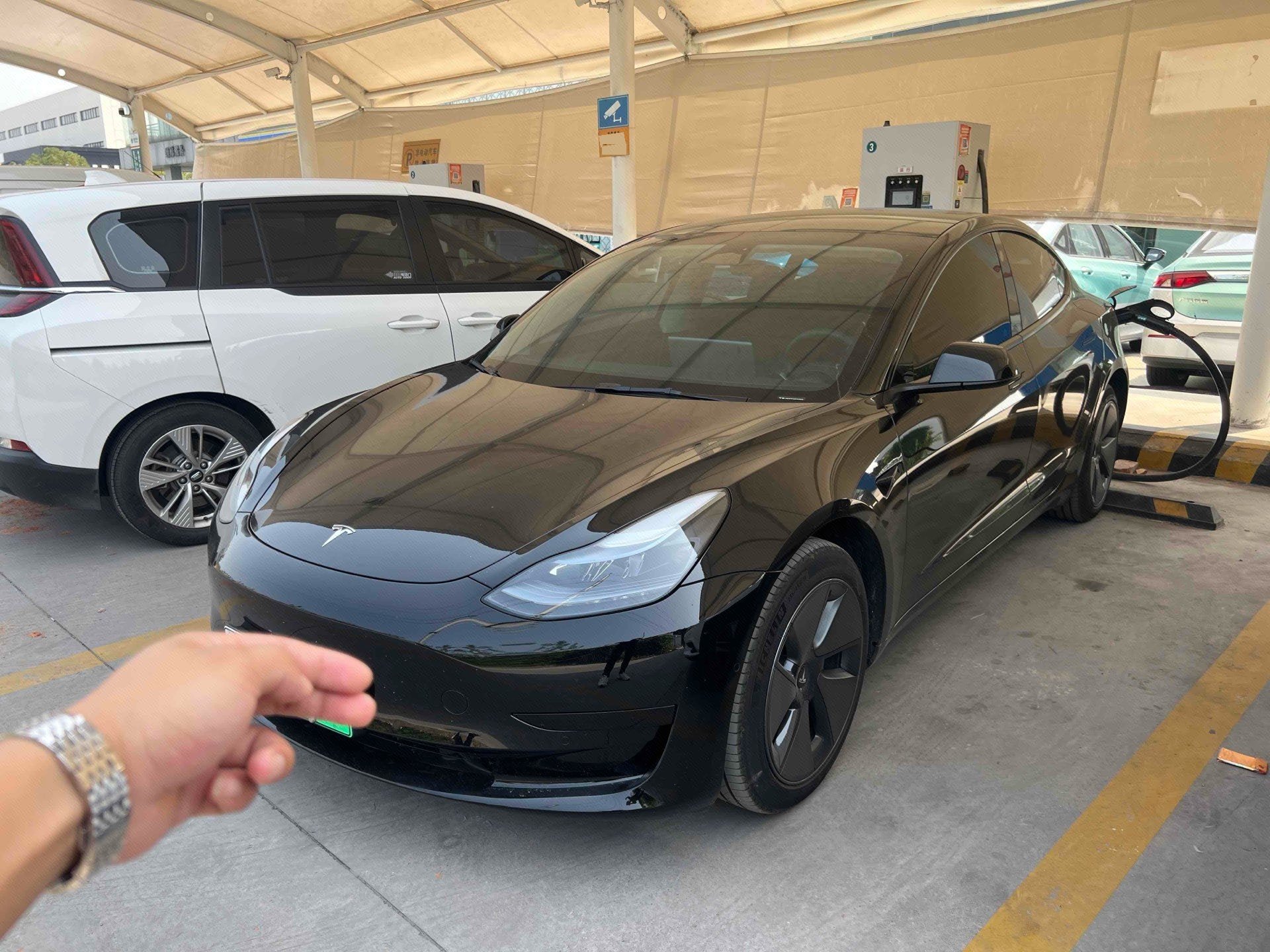 Tesla Model 3 2023 Tesla Model 3 2023 car image