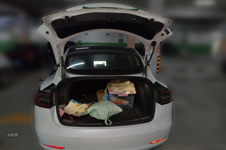 Tesla Model 3 2022 #21 Tesla Model 3 2022 car image #21