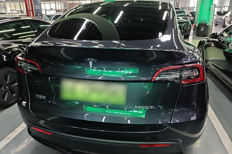 Tesla Model Y 2024 car image #6
