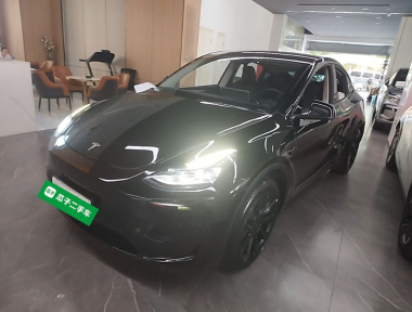 Tesla Model Y 2023 car image 