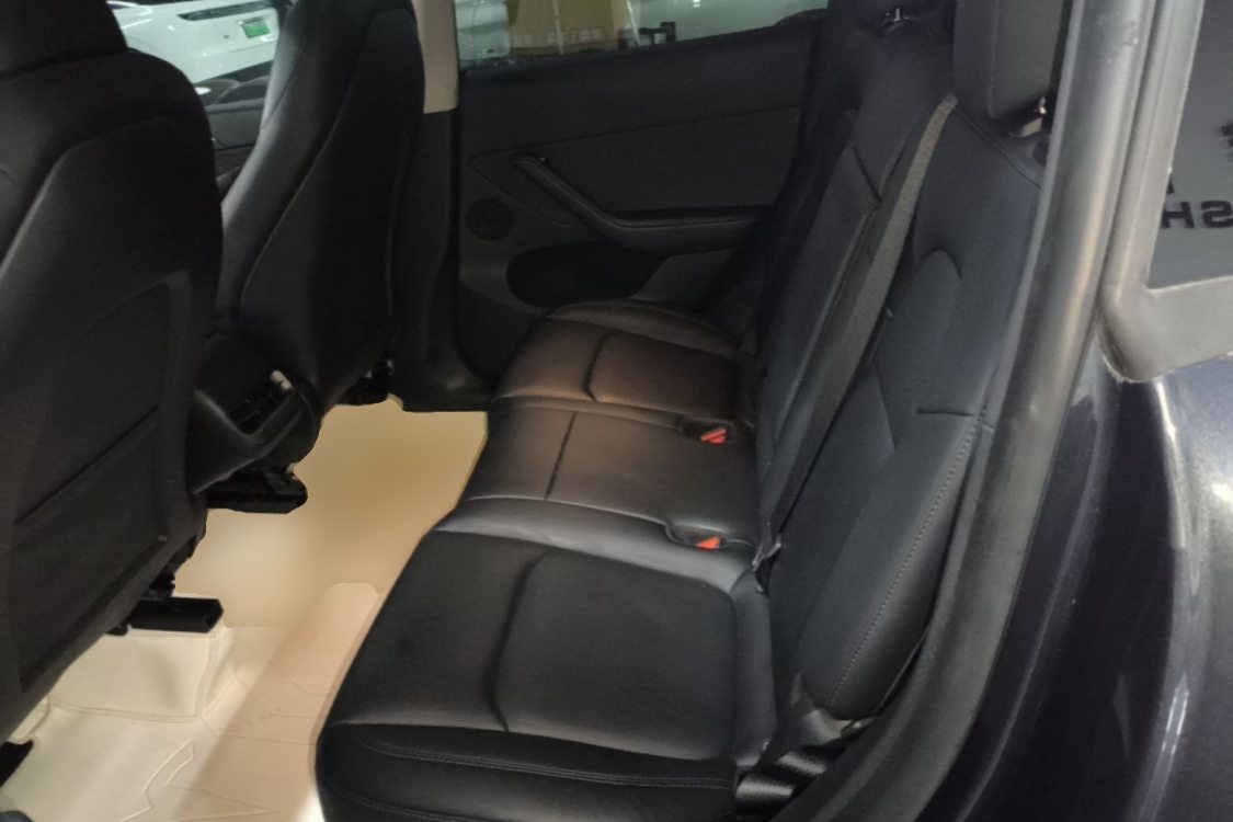 Tesla Model Y 2024 car image #13