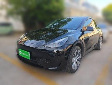 Tesla Model Y 2023 Tesla Model Y 2023 car image