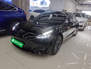 Tesla Model 3 2021 car image 