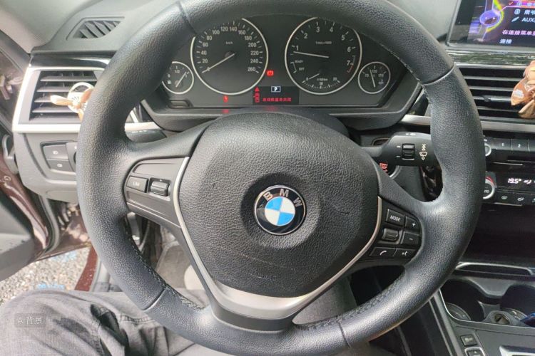 BMW 3 Series 2016 car image #12