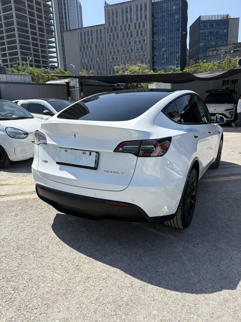 Tesla Model Y 2023 car image #9