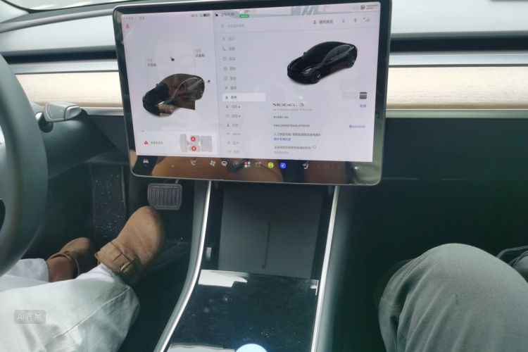 Tesla Model 3 2020 car image #15