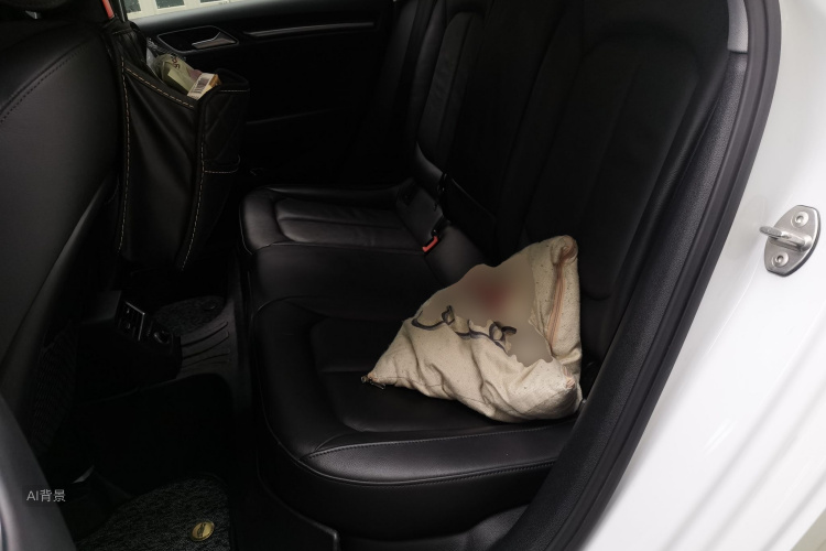 奥迪 奥迪A3 2020 汽车图片 #19