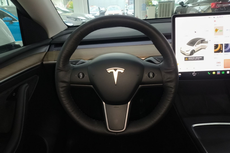 Tesla Model Y 2021 #11 Tesla Model Y 2021 car image #11