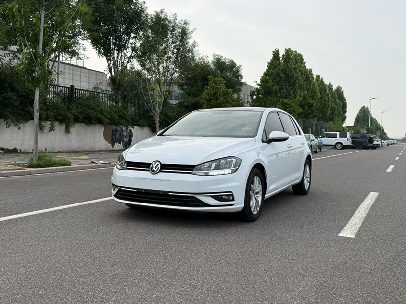 Volkswagen Golf 2019 car image #12
