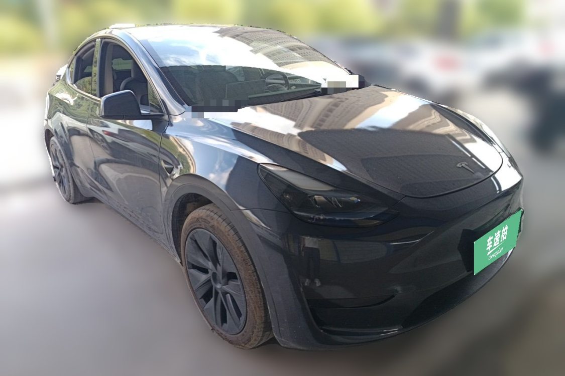 Tesla Model Y 2024 car image #2