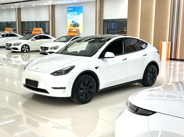Tesla Model Y 2023 #11 Tesla Model Y 2023 car image #11