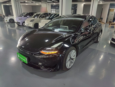 Tesla Model 3 2021 Tesla Model 3 2021 car image