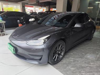 Tesla Model 3 2021 Tesla Model 3 2021 car image