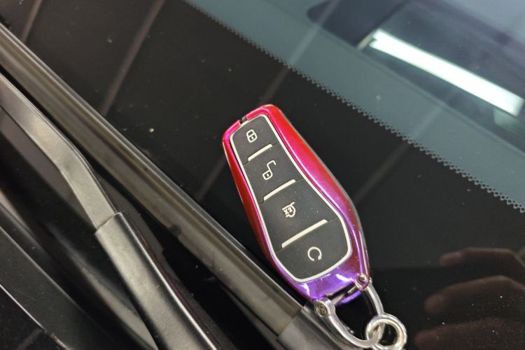 BYD Han 2022 imagen de coche #14