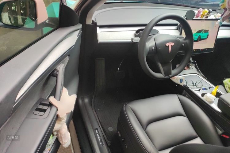 Tesla Model Y 2023 #18 Tesla Model Y 2023 car image #18