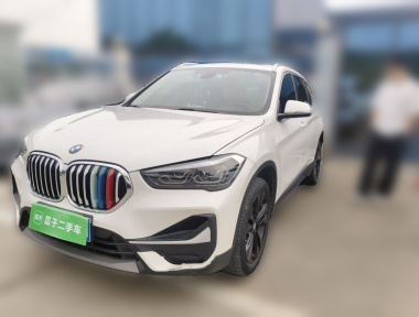 BMW X1 2019 car image 