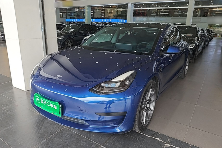 Tesla Model 3 2021 #2 Tesla Model 3 2021 car image #2