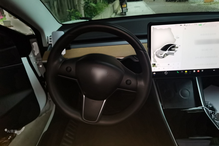 Tesla Model 3 2020 car image #12