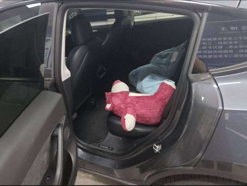 Tesla Model Y 2021 car image #5
