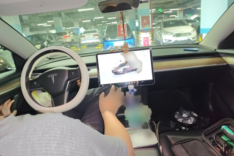 Tesla Model 3 2022 car image #12