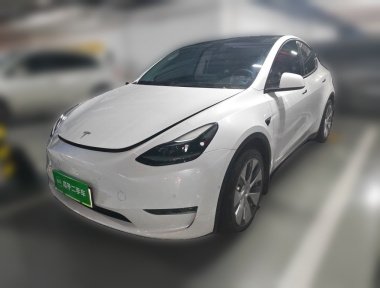 Tesla Model Y 2021 car image 