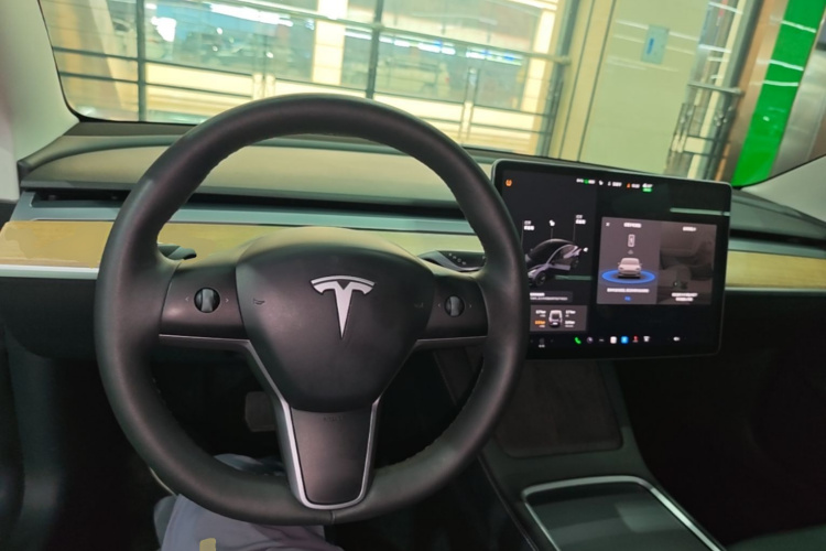 Tesla Model 3 2021 immagine di auto #10