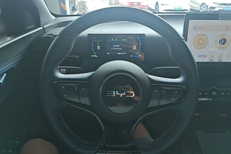 BYD Seagull 2025 car image #11