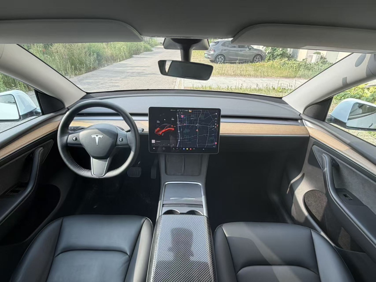Tesla Model Y 2021 car image #10