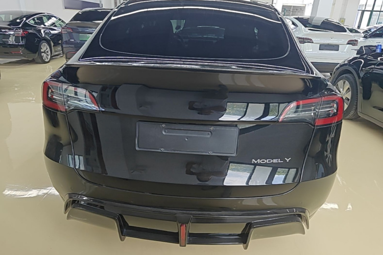 Tesla Model Y 2022 car image #6