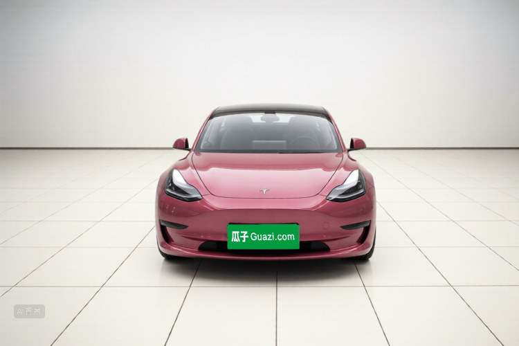 Tesla Model 3 2022 #3 Tesla Model 3 2022 car image #3