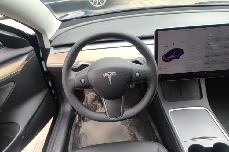Tesla Model 3 2021 #11 Tesla Model 3 2021 car image #11