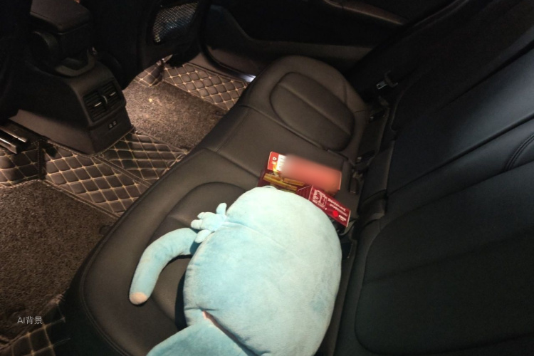 BMW X1 2019 car image #19