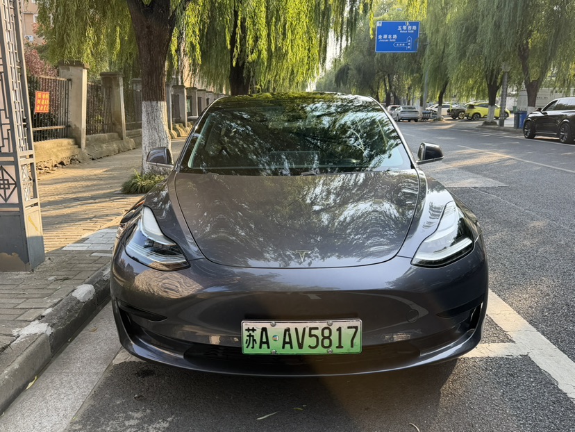 Tesla Model 3 2020 imagen de coche #2