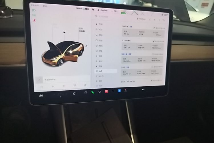 Tesla Model 3 2020 car image #13