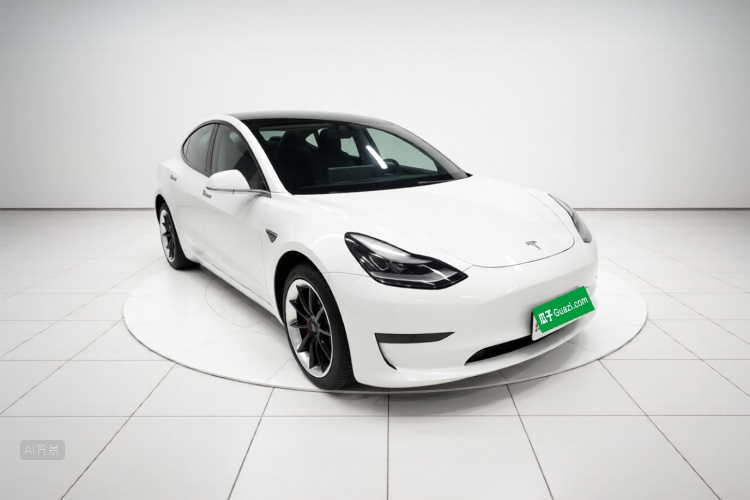 Tesla Model 3 2020 car image #4