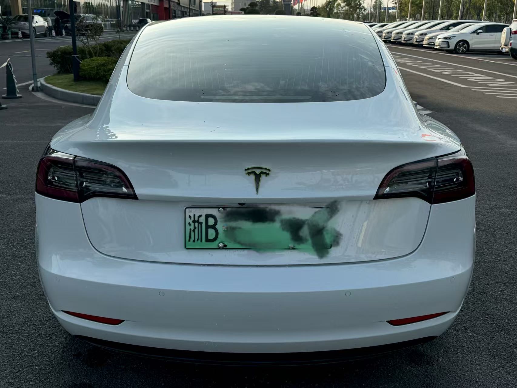 Tesla Model 3 (Imported) 2019 #8 Tesla Model 3 (Imported) 2019 imagen de coche #8